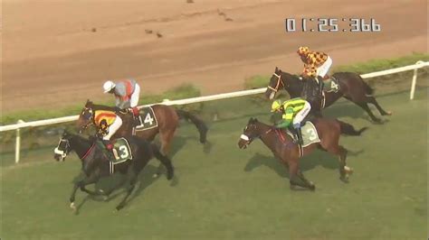 www.india race.com|The Indiarace.com Trophy wins KIMIKO .